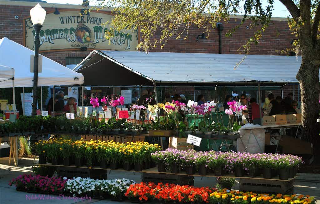 Free Things to Do in Orlando: Winter Park Farmers Market