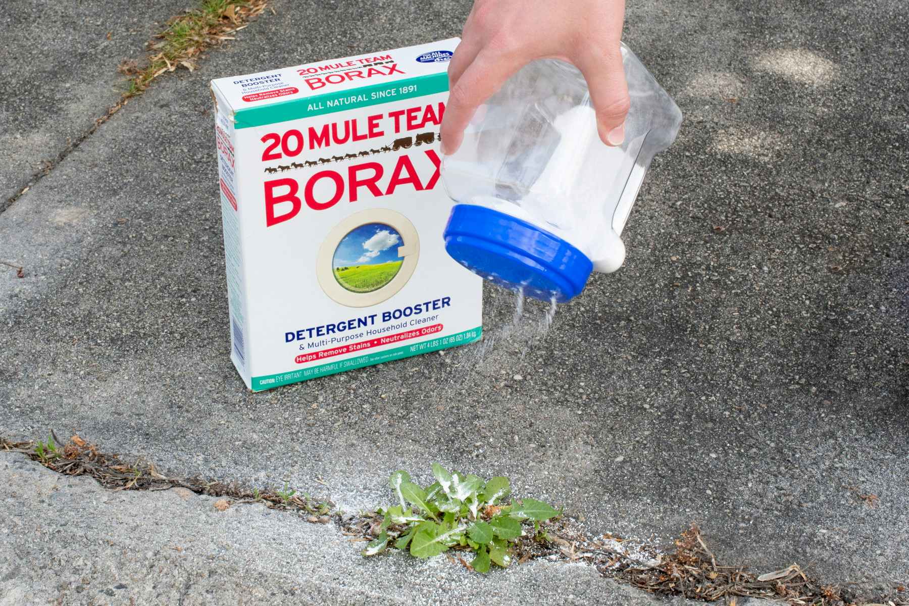 Sprinkle Borax on unwanted weeds or plants for a natural herbicide.