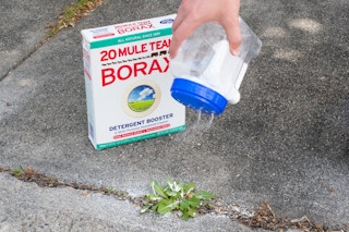Sprinkle Borax on unwanted weeds or plants for a natural herbicide.