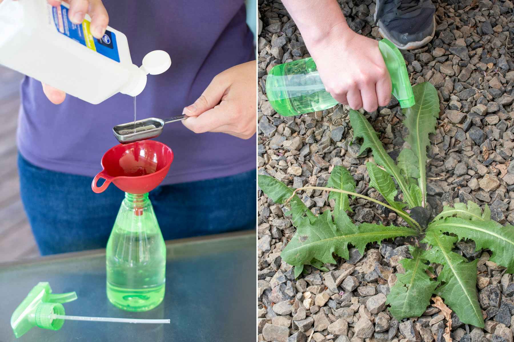 Woman pouring rubbing alcohol into a measuring spoon then spray bottle to kill weeds