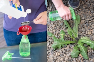 Woman pouring rubbing alcohol into a measuring spoon then spray bottle to kill weeds
