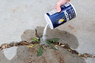 Someone pouring salt onto a sidewalk crack as a weed killer