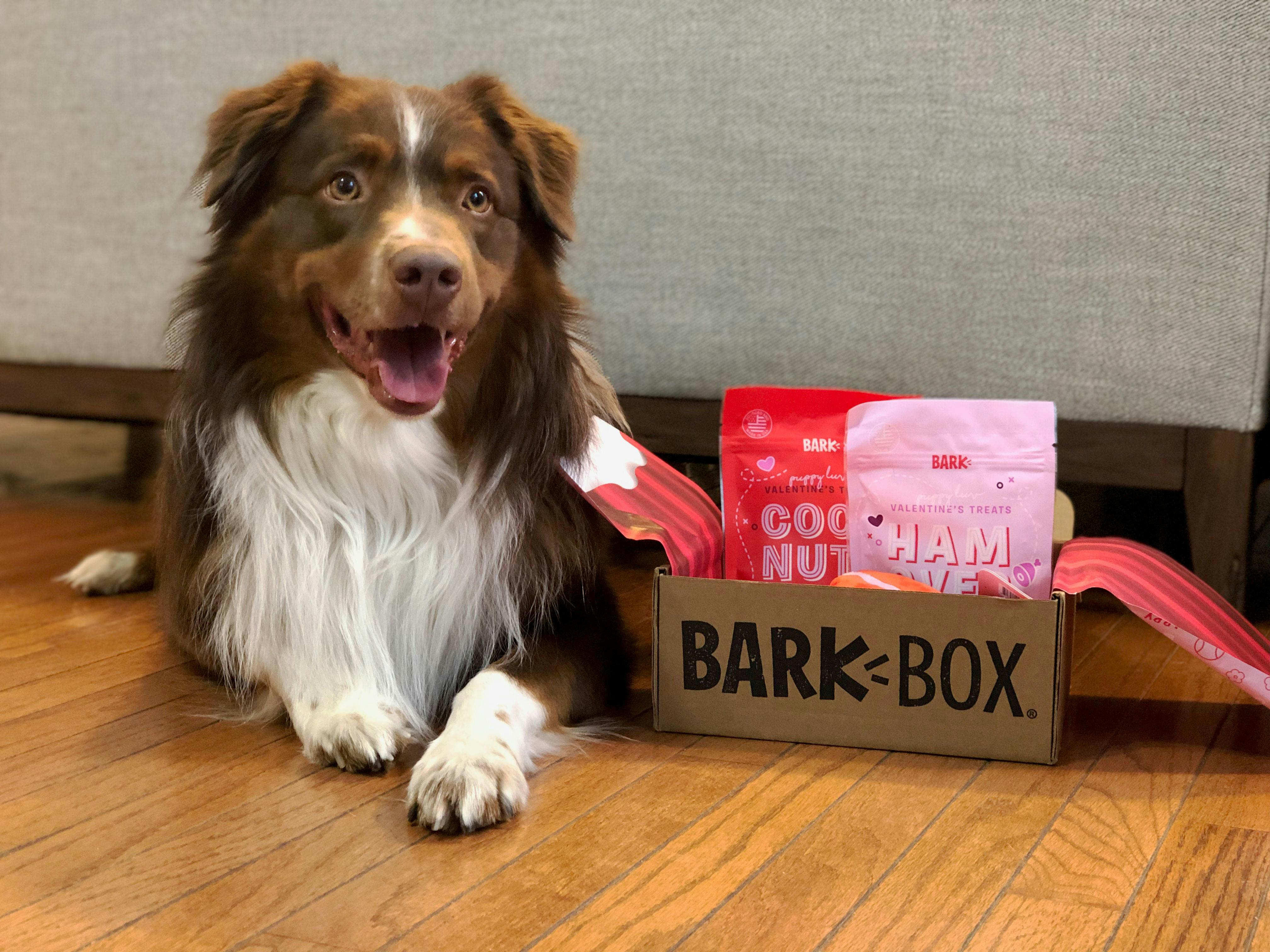 barkbox $5 first box