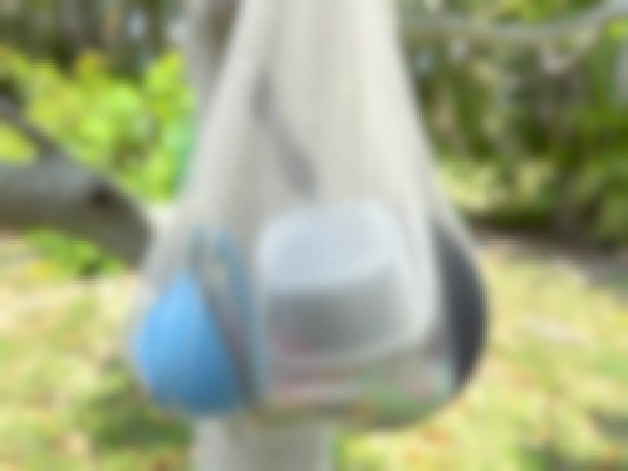 A mesh bag filled with dishes hanging in a tree to dry
