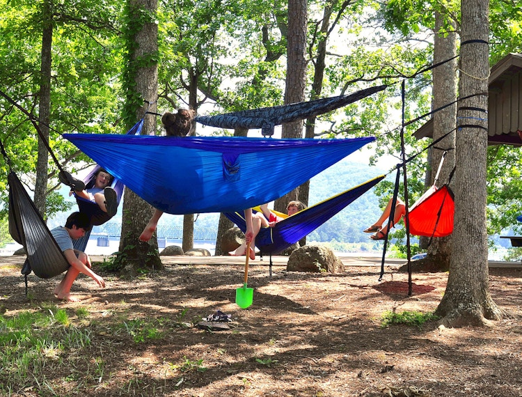 People sitting in and standing around some camping hammocks strung up between trees near a lake.