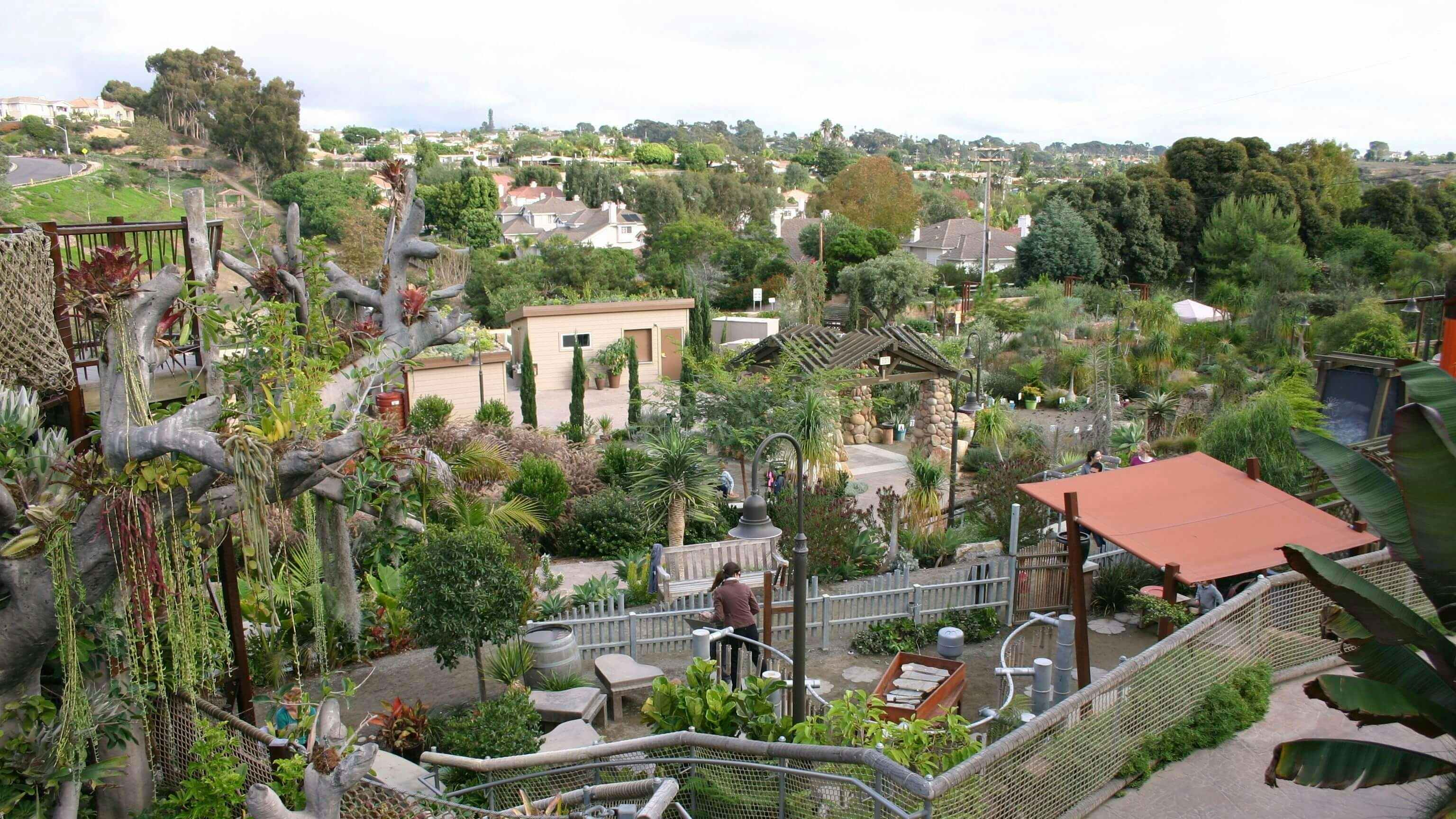 Free Things to Do in San Diego: San Diego Botanical Gardens
