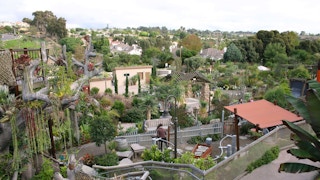 Free Things to Do in San Diego: San Diego Botanical Gardens