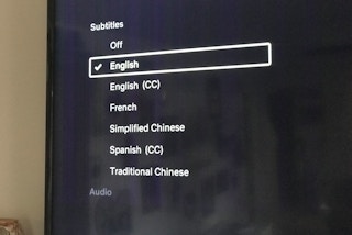 subtitles netflix 2019 1558589731 e1703021917593