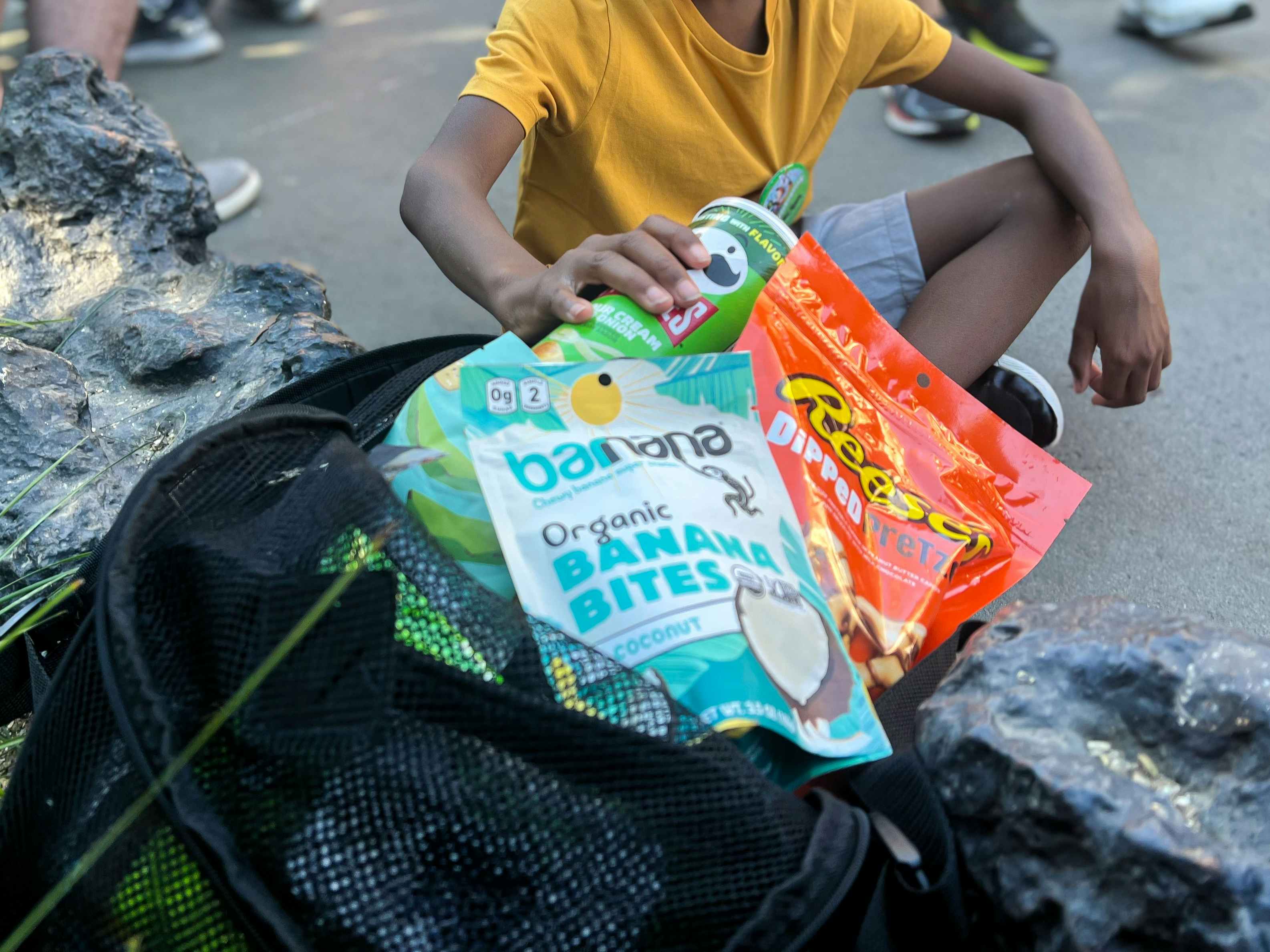 A young boy grabbing snacks out of a bag brought into a theme park