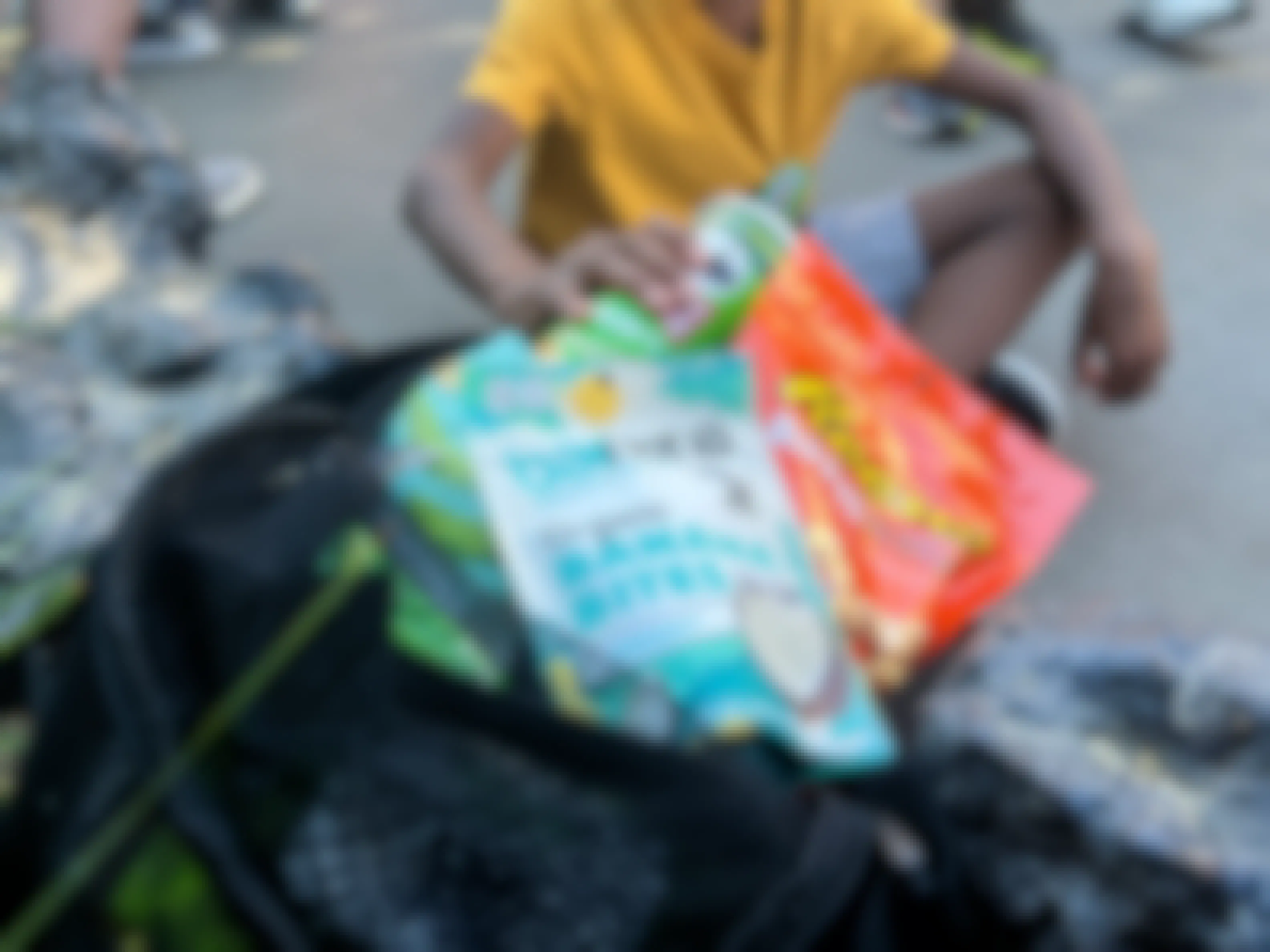 A young boy grabbing snacks out of a bag brought into a theme park