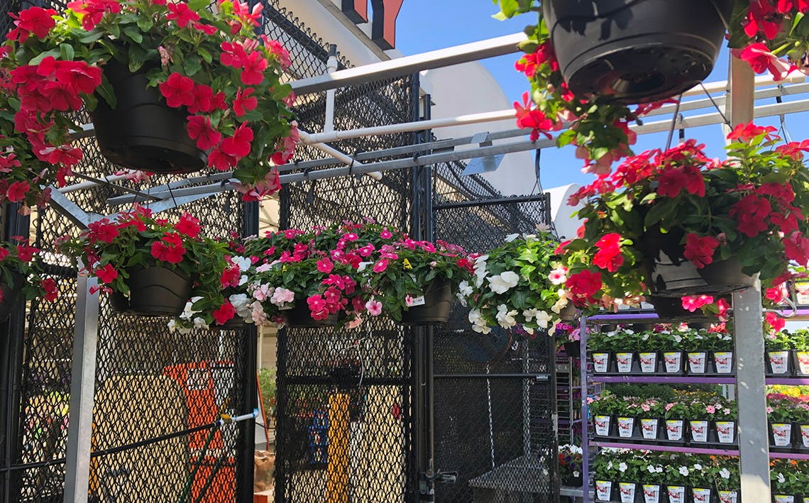 11 Tips to Conquer Home Depot Garden Center Shopping The Krazy Coupon
