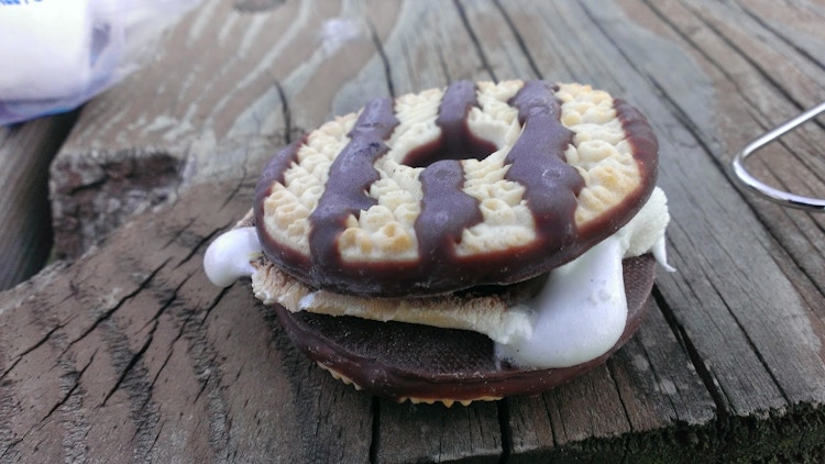  Use Fudge Stripe cookies instead of graham crackers.