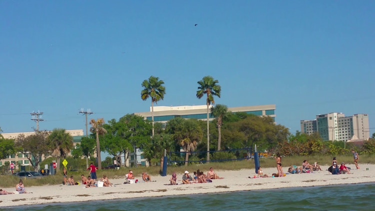 Tampa Bay Ben T Davis Beach
