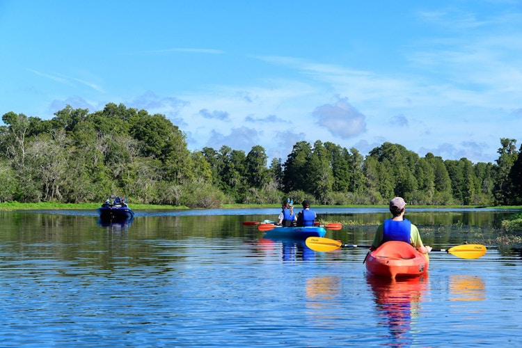 Tampa Bay Park