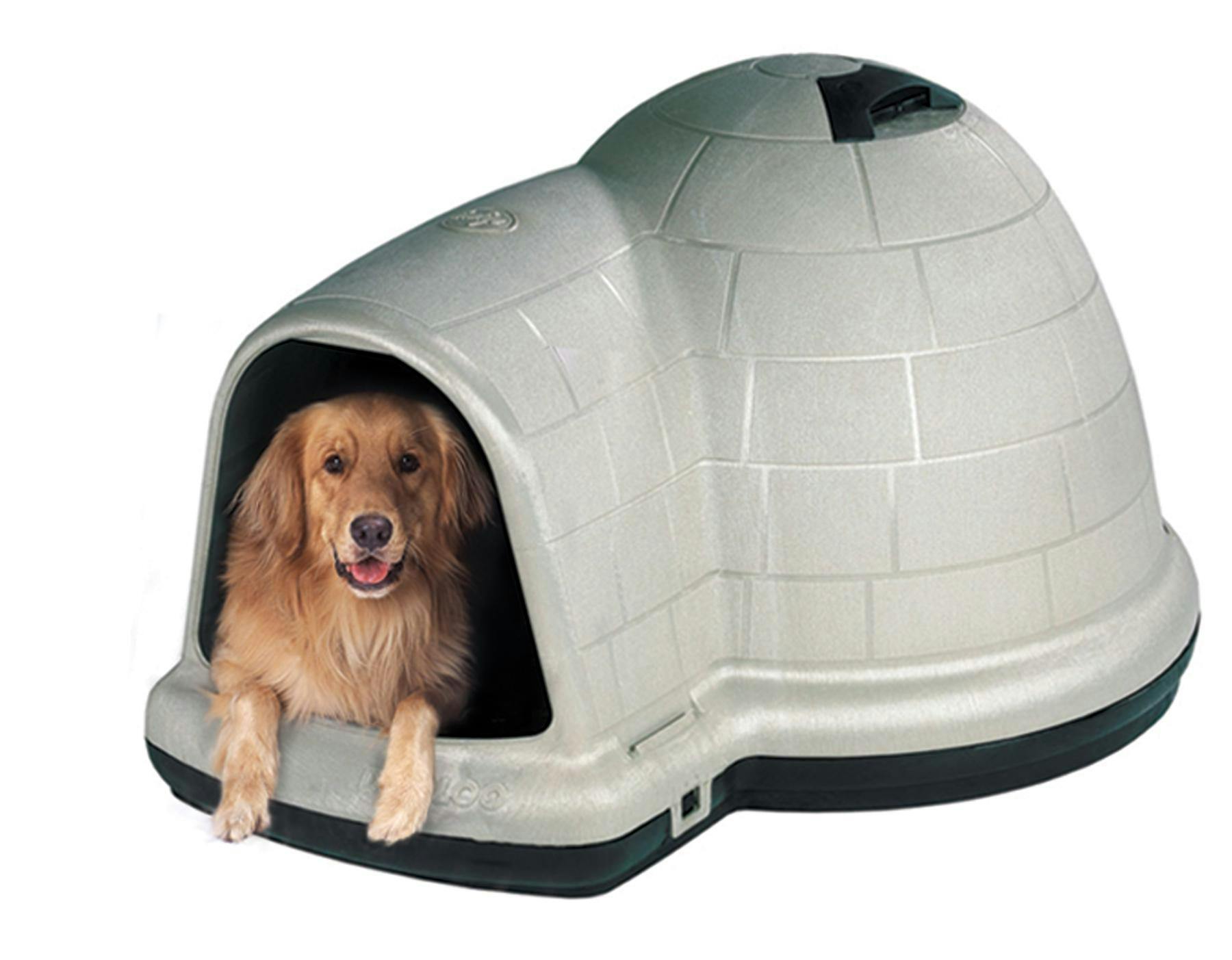 dome dog house