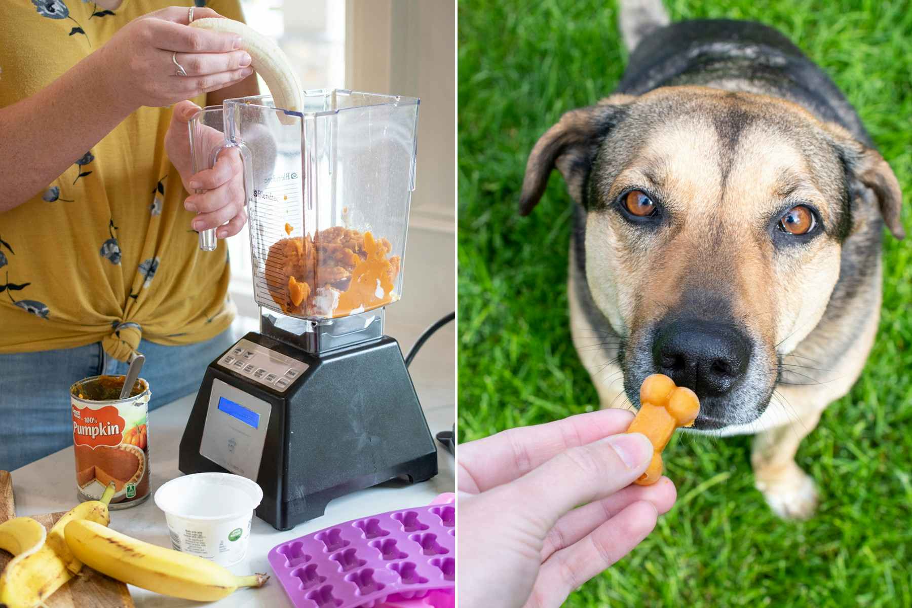 A person standing at a blender on a counter with ingredients for homemade dog treats, and a person's hand offering a homemade dog treat to a dog sitting on grass.