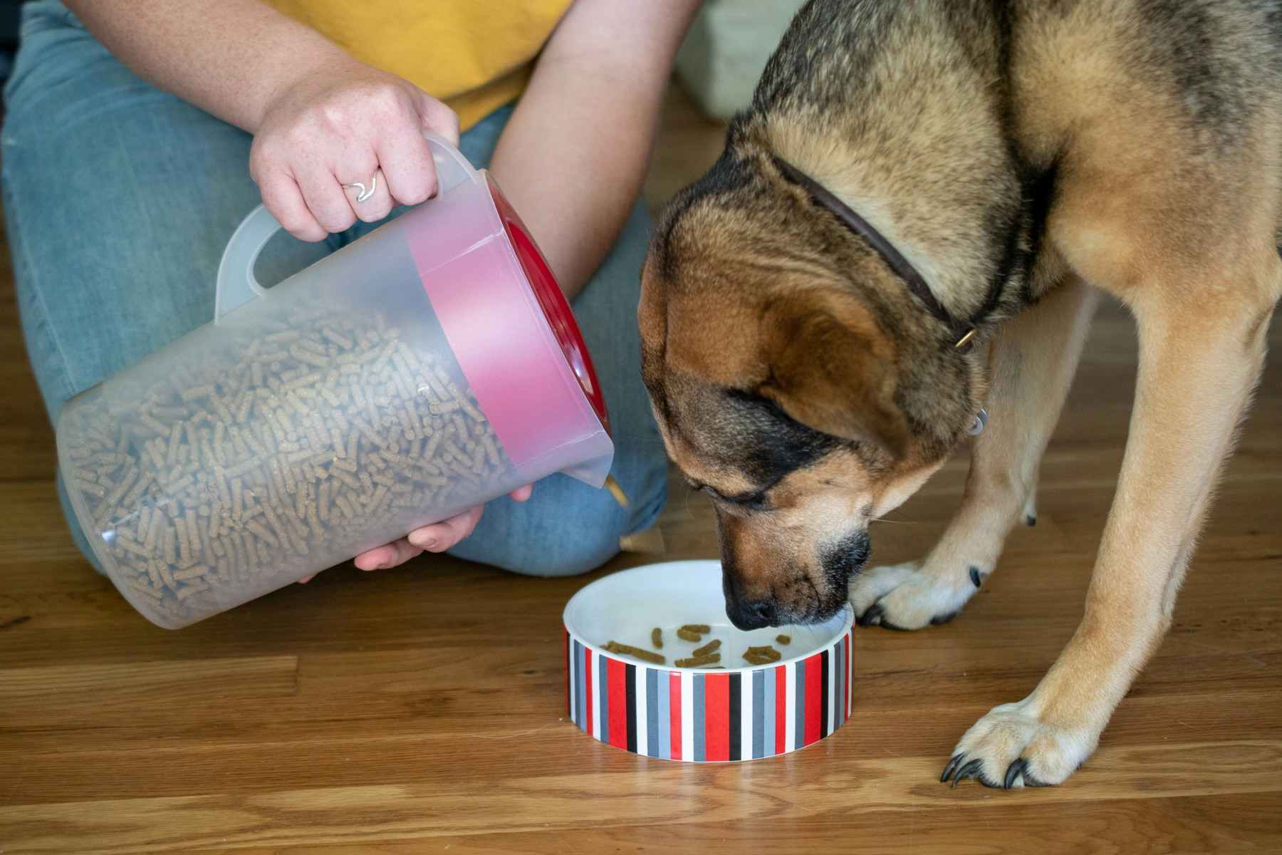 Dispense dog food easily with a plastic pitcher.