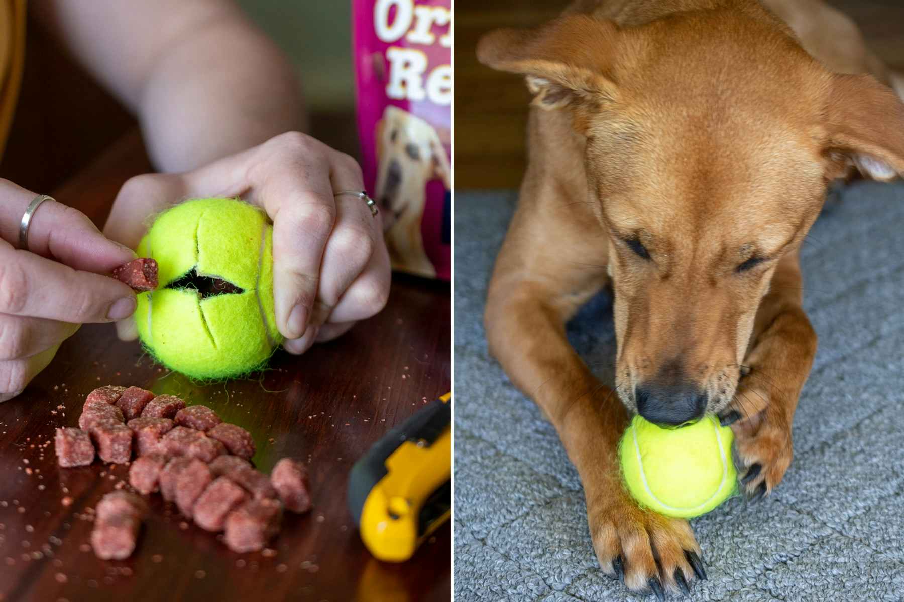 Repurpose an old tennis ball by turning it into a treat dispenser.