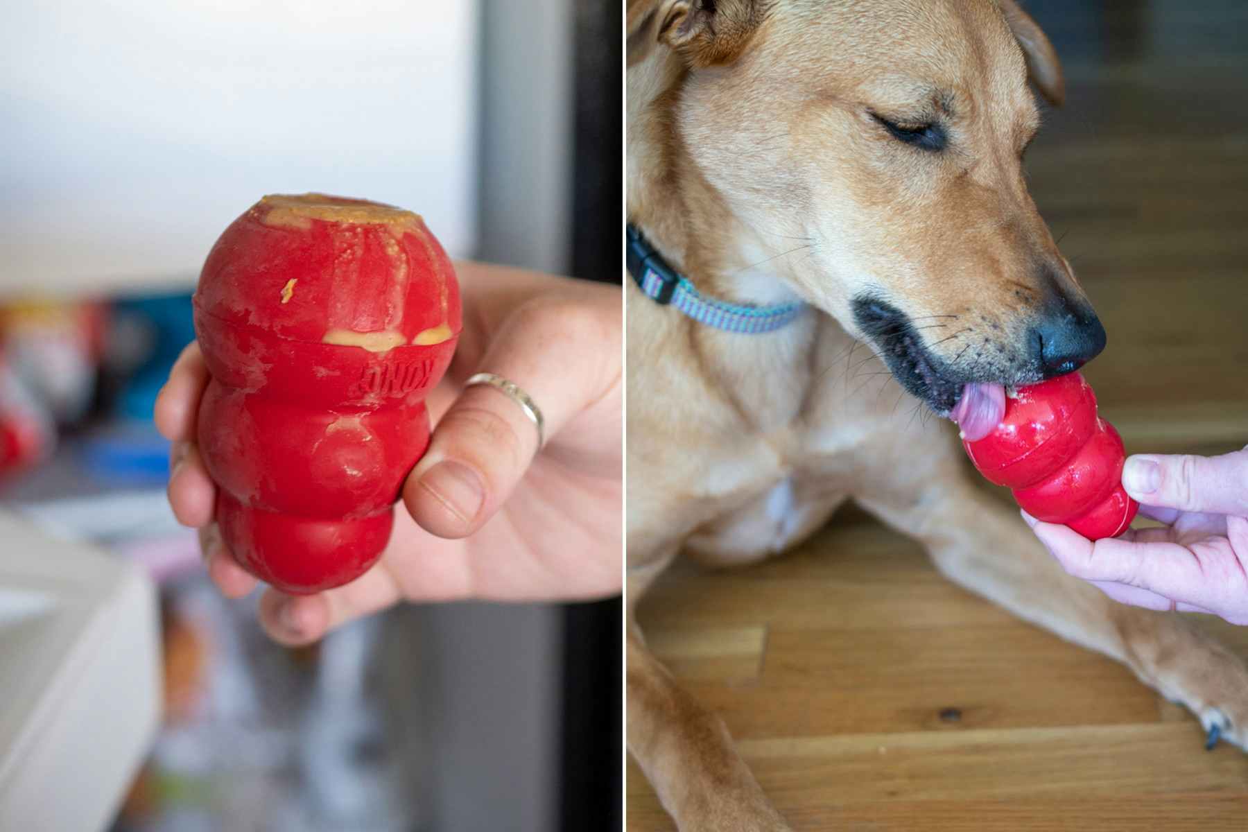 Keep your dog occupied for hours by filling a Kong with homemade frozen treats.