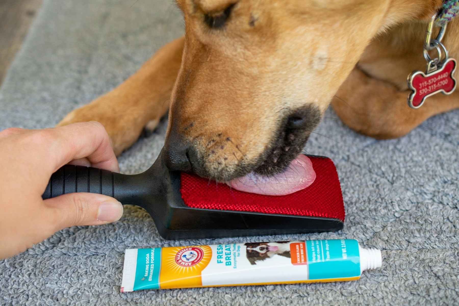 Freshen breath by applying doggy toothpaste to a lint remover, then have your dog lick it off.