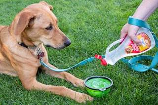 Fill a clean syrup bottle with water and use it as a portable, squirtable water bottle.
