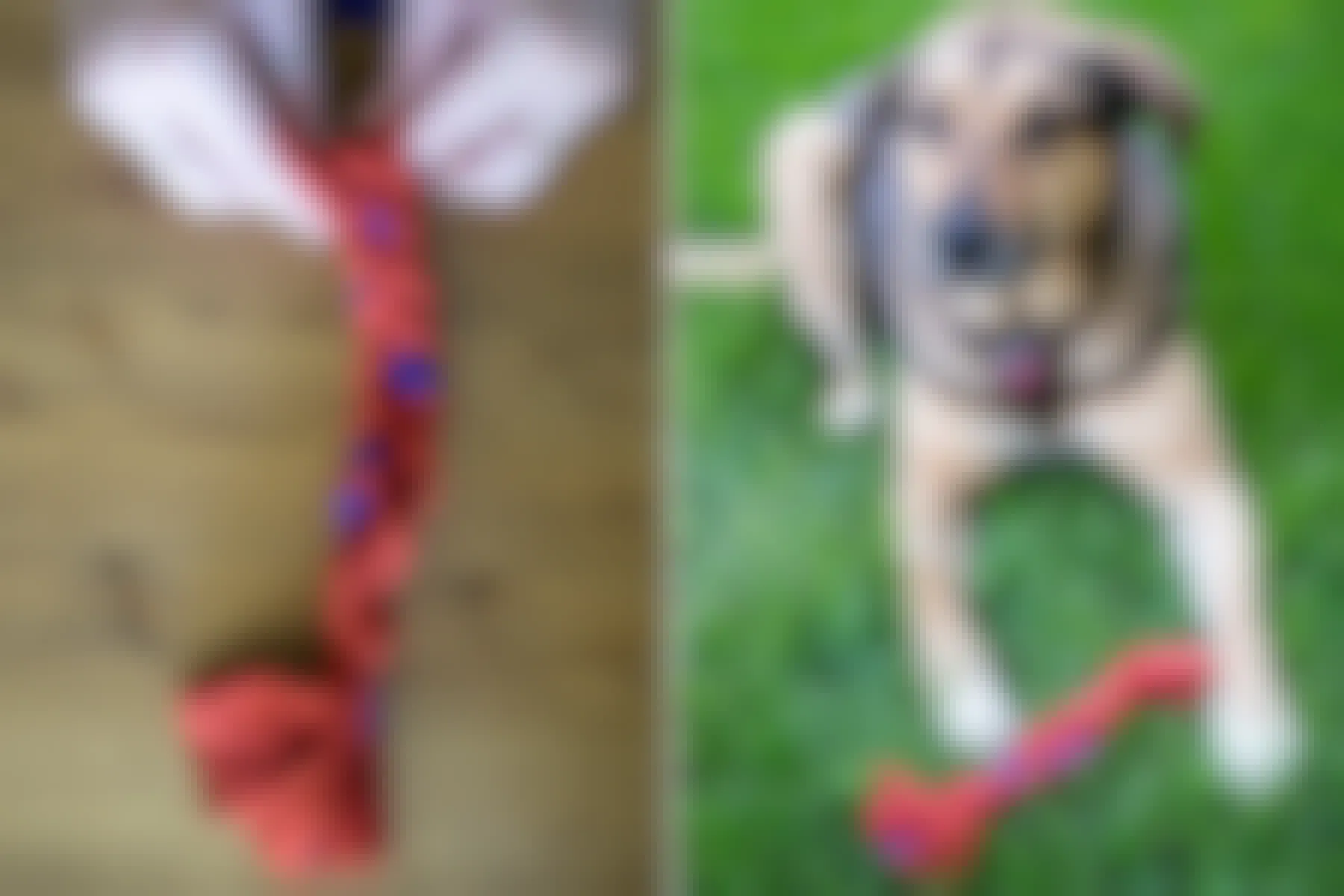 Braid strips of old shirts together to make a DIY dog rope.