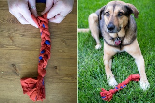 Braid strips of old shirts together to make a DIY dog rope.