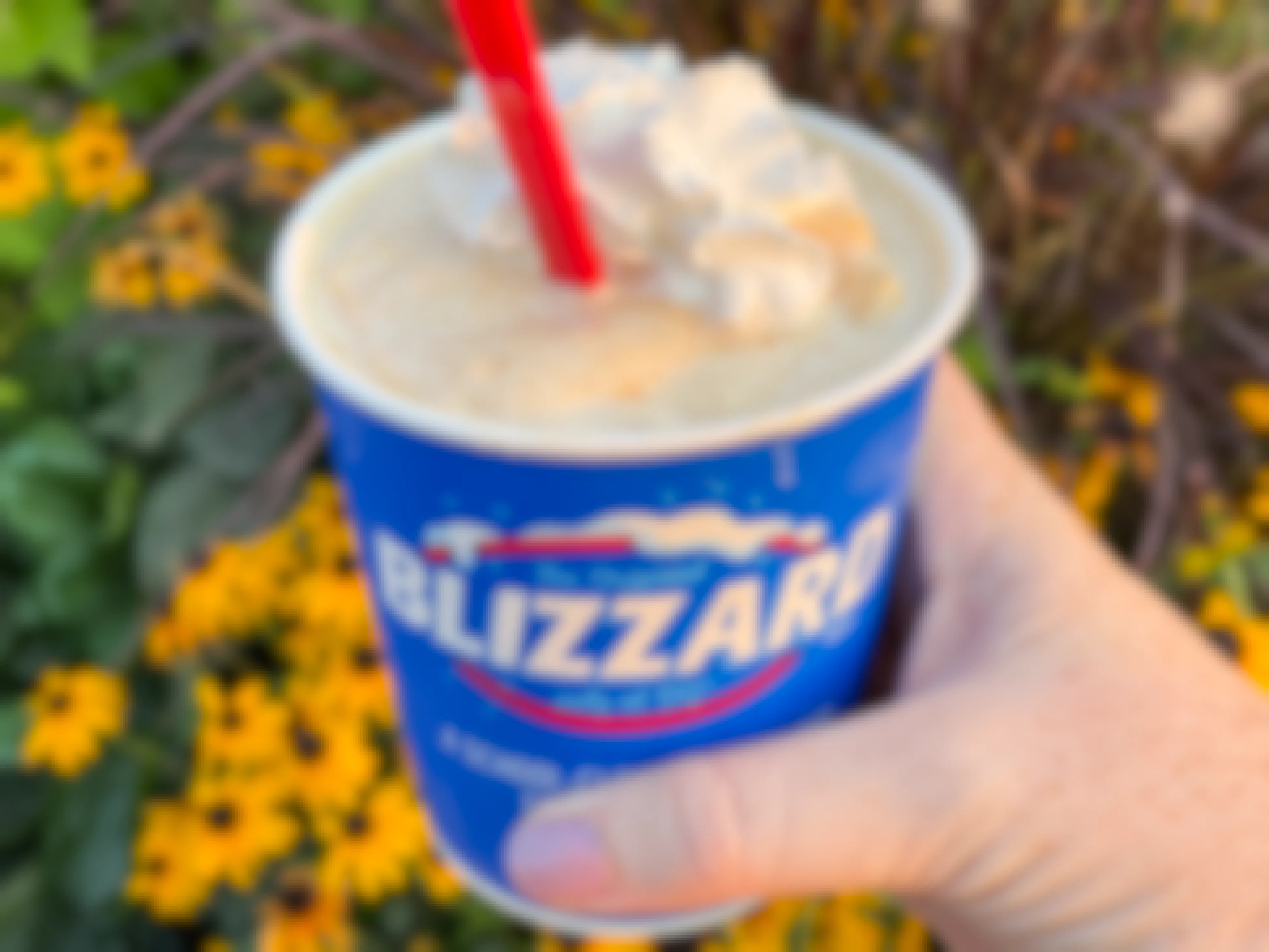 A person's hand holding a Dairy Queen pumpkin pie blizzard in front of some flowers.