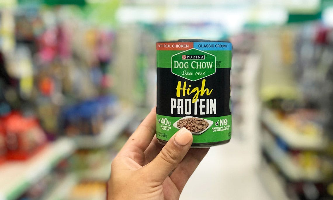 Does Dollar Tree Have Dog Collars