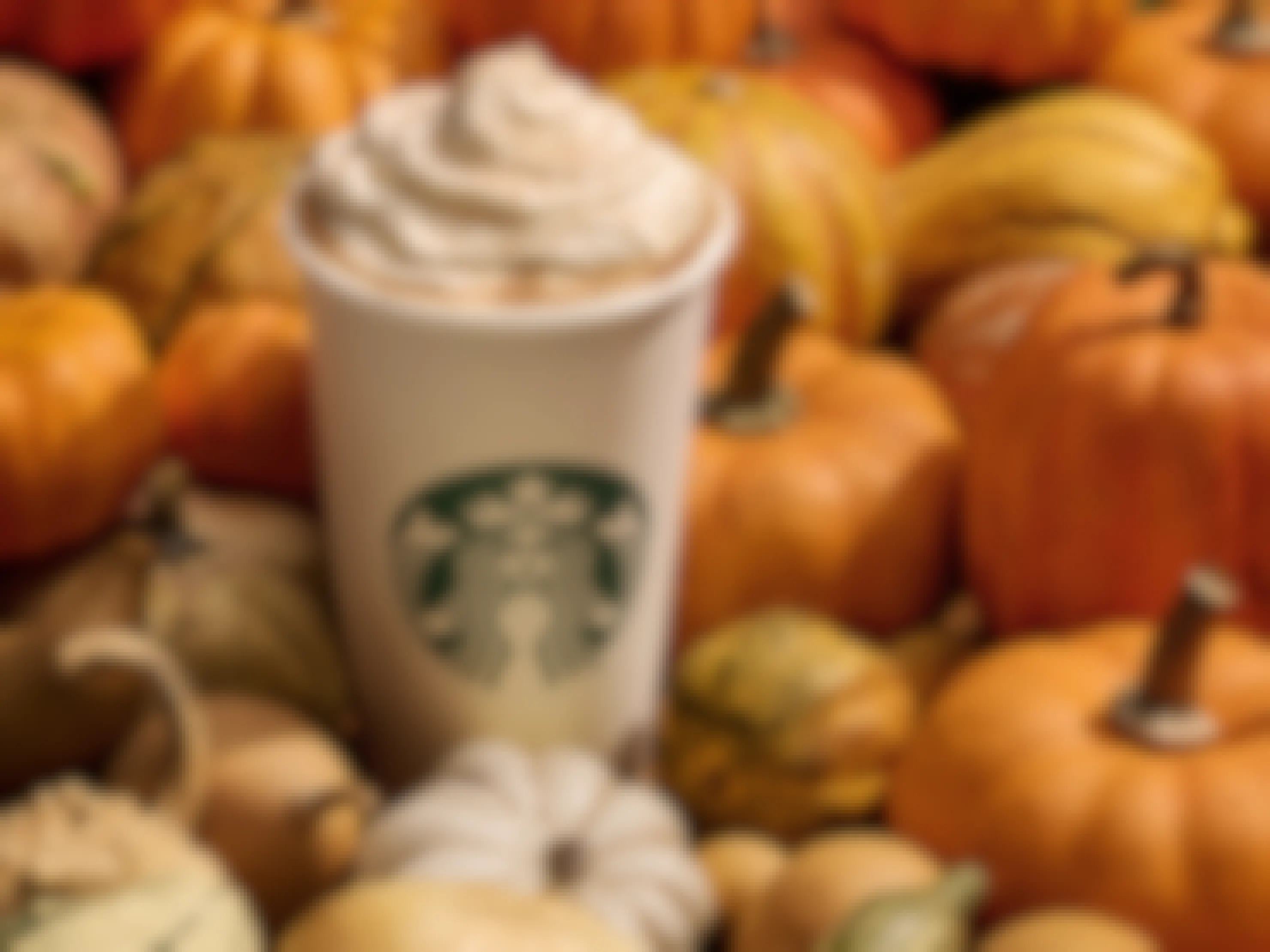 a Starbucks Pumpkin Spice Latte set against a background of various pumpkins