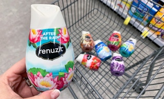 Renuzit-Walgreens-VE-9.9