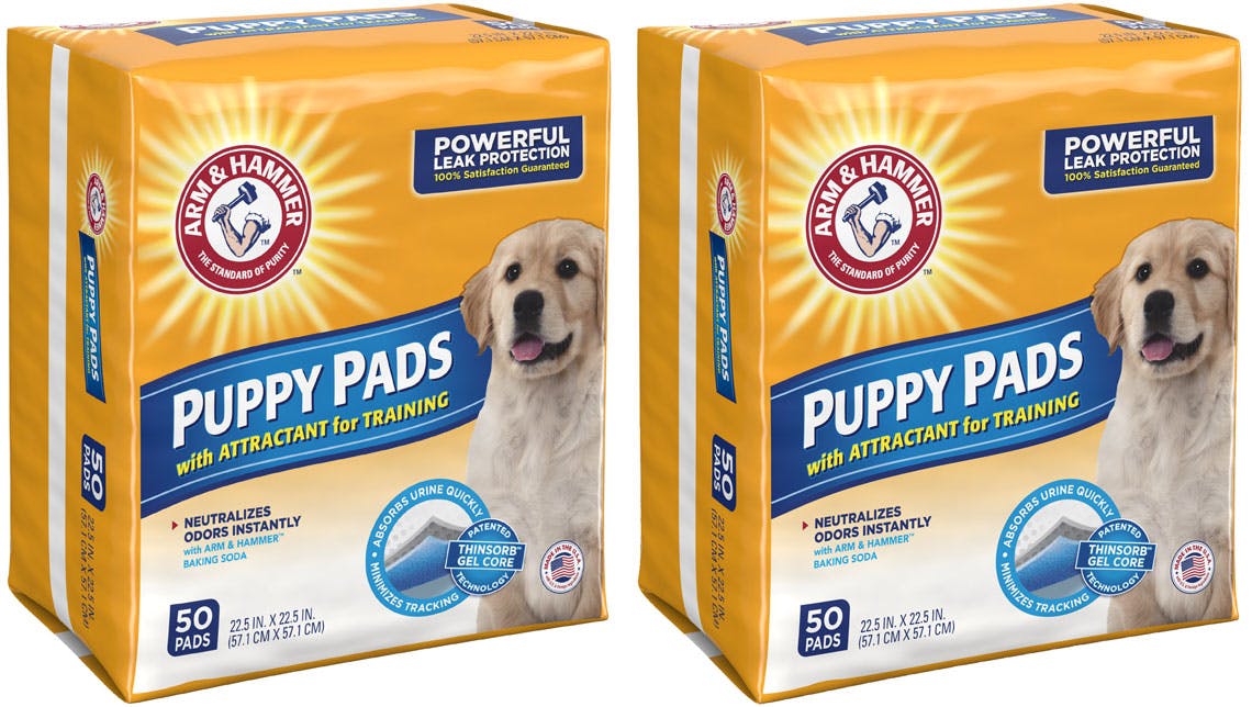 Puppy Training Pads Dealz 2024 levitan