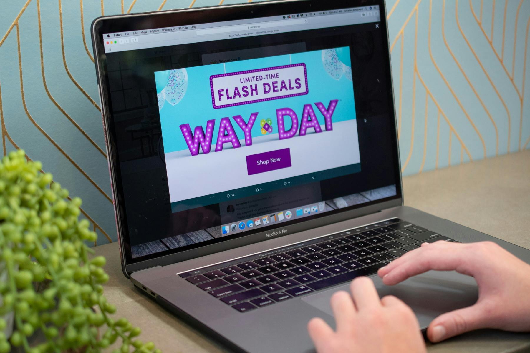 Person typing on a laptop open to the WayDay sale page