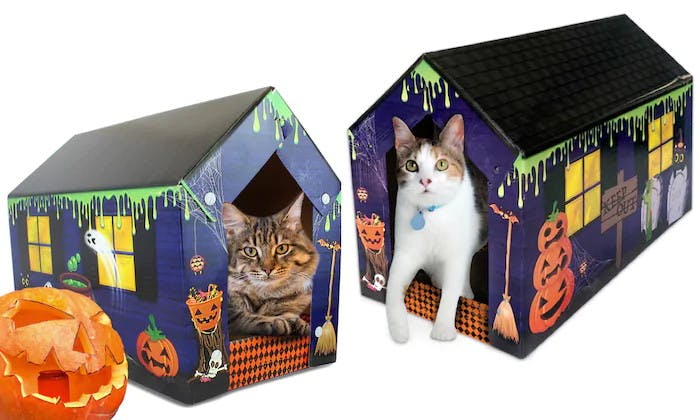 groupon pet box