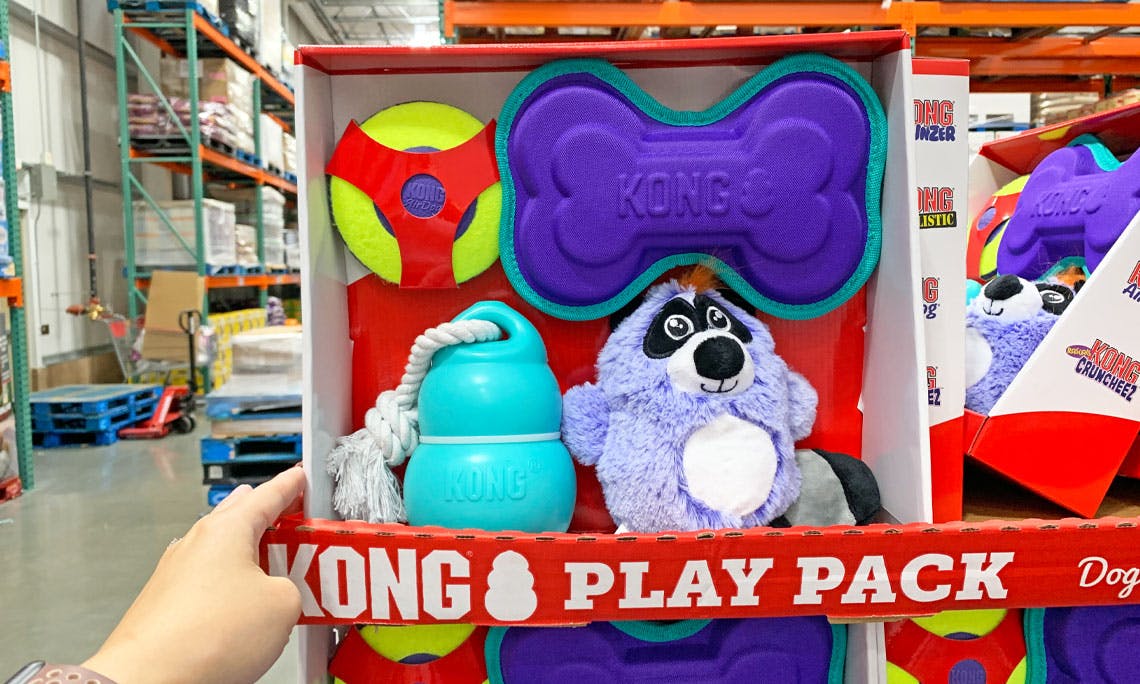 kong play pack costco