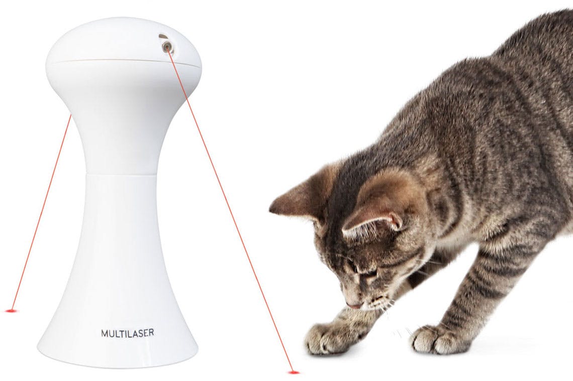 cat laser pointer kmart