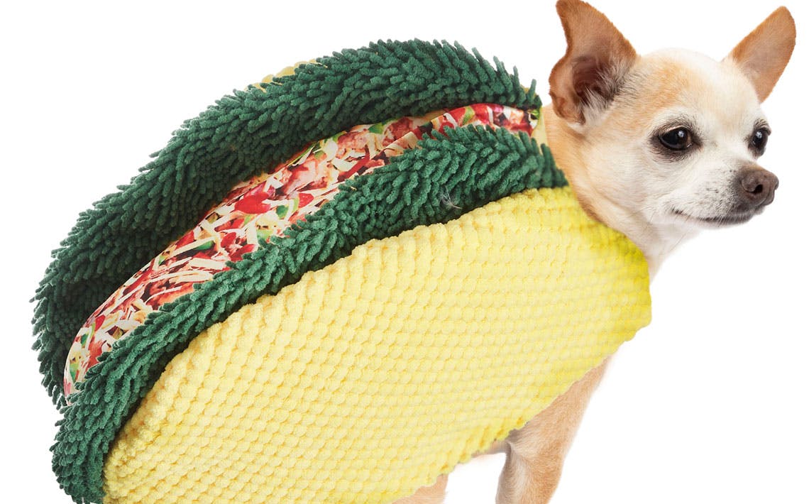 walmart dog costumes halloween