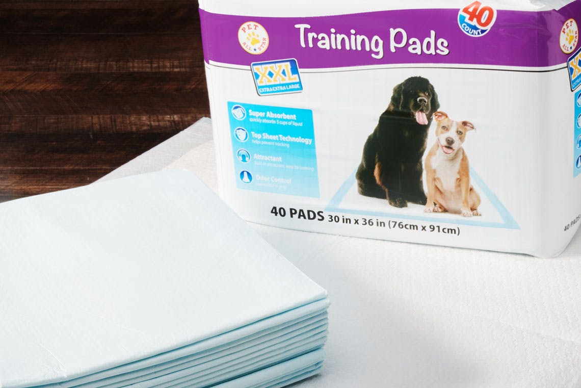 All star outlet pet training pads