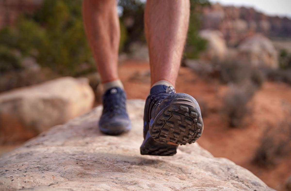 adidas Hiking Shoes at Academy Sports 