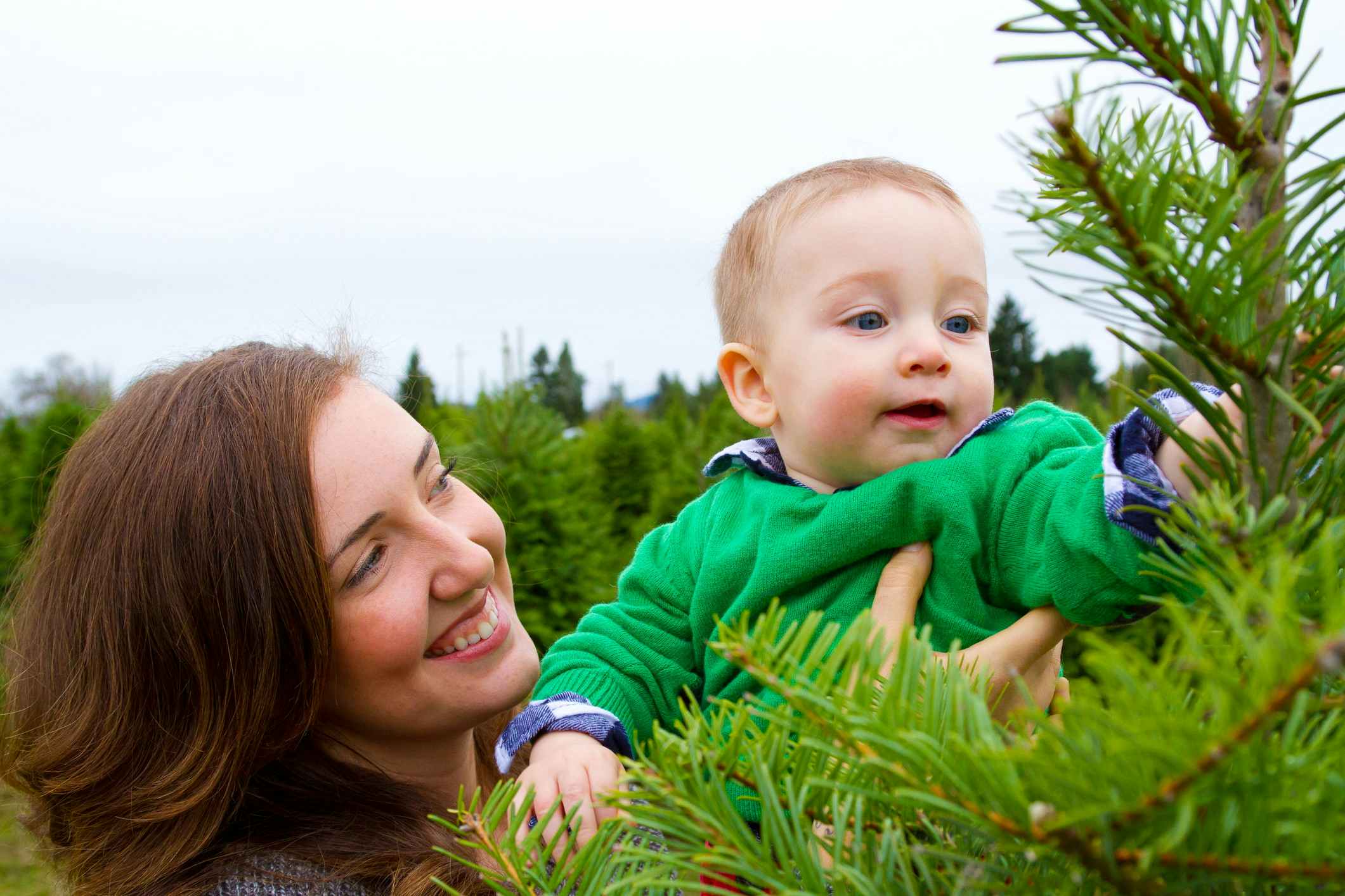 A cute young boy in a green shirt is having fun at a Christmas tree farm in Oregon.