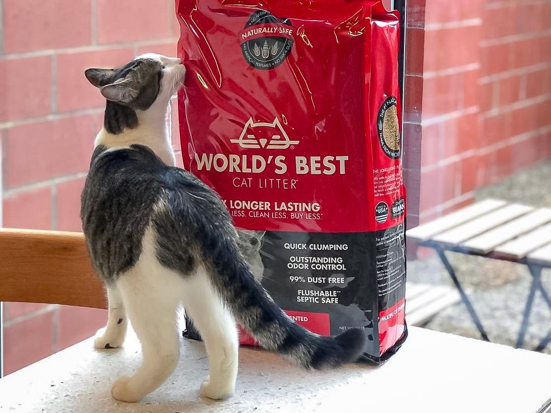 Best Petco Black Friday Deals for 2022 The Krazy Coupon Lady