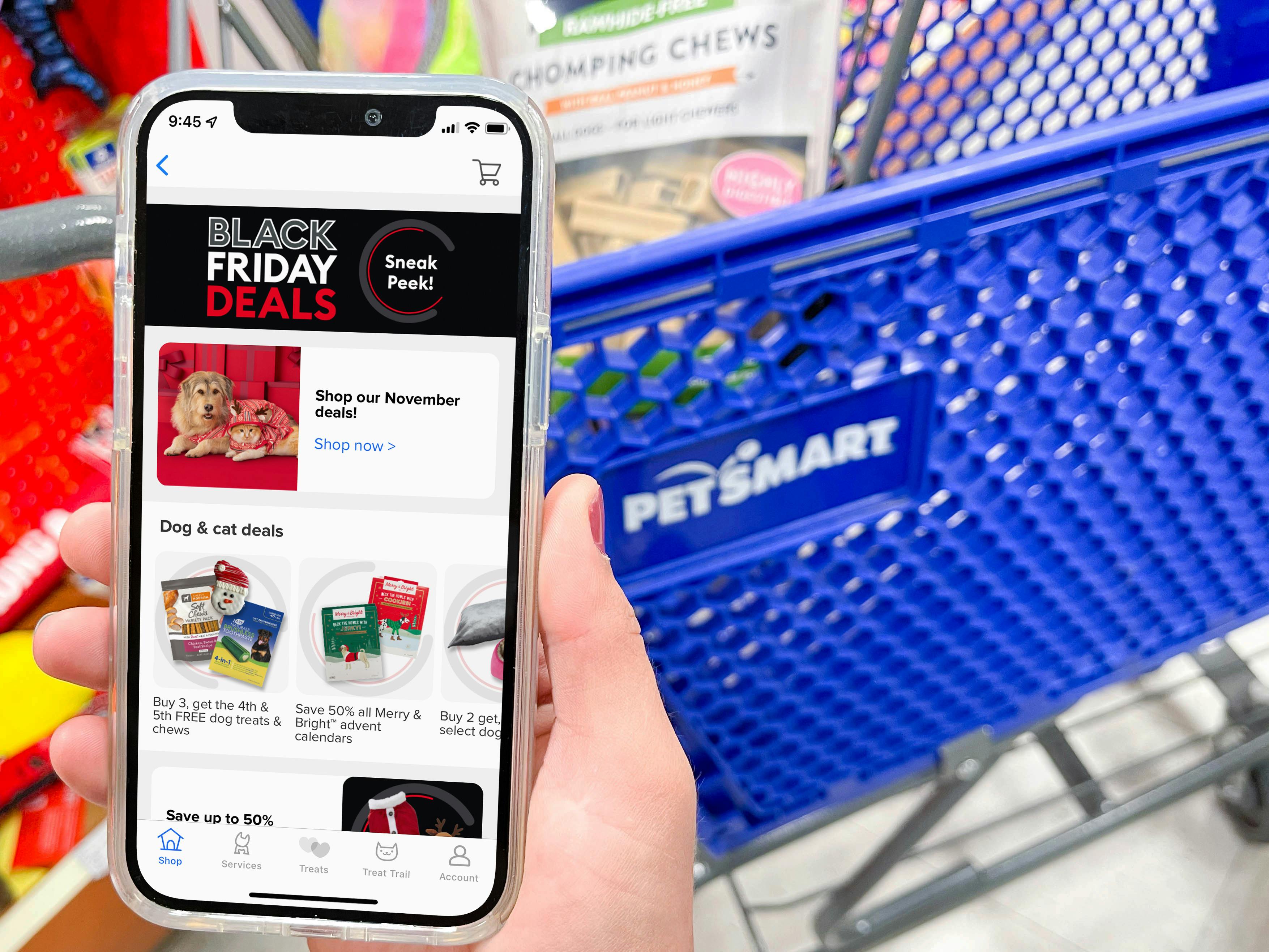 Best PetSmart Black Friday Deals You Can Look Forward To