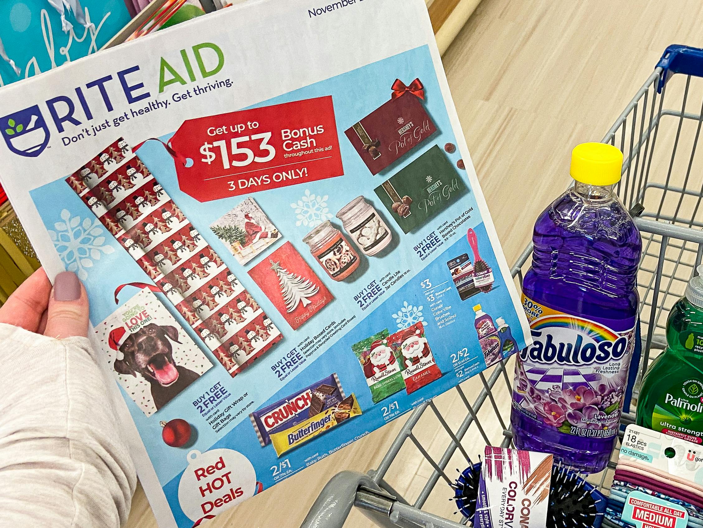 The krazy coupon lady rite aid