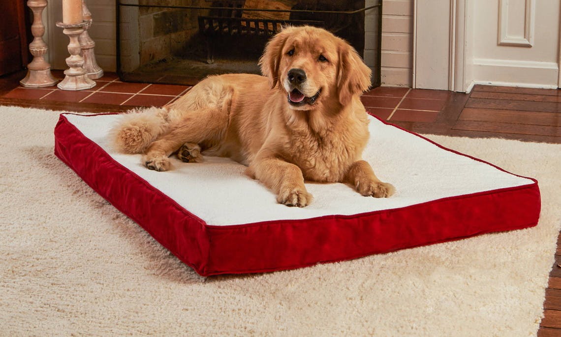 happy hounds oscar orthopedic dog bed