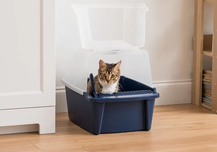 Jumbo Cat Litter Box With Shield Scoop 6 44 At Walmart The Krazy Coupon Lady