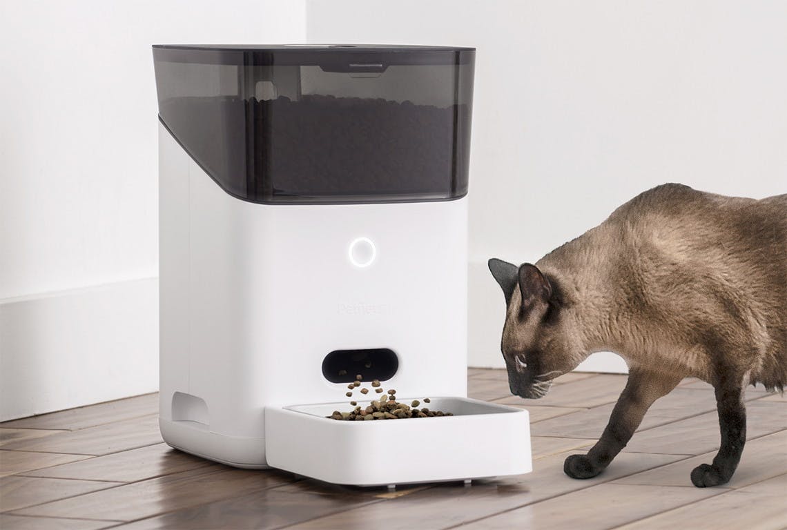 petnet automatic feeder