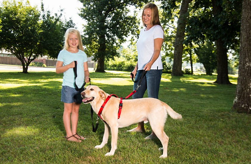 sporn ultimate harness