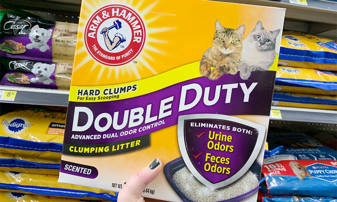 dollar store kitty litter