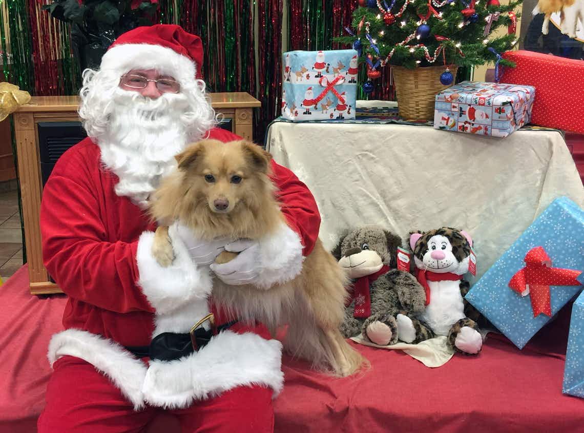 A dog sitting on Santa's lap at a PetSmart event