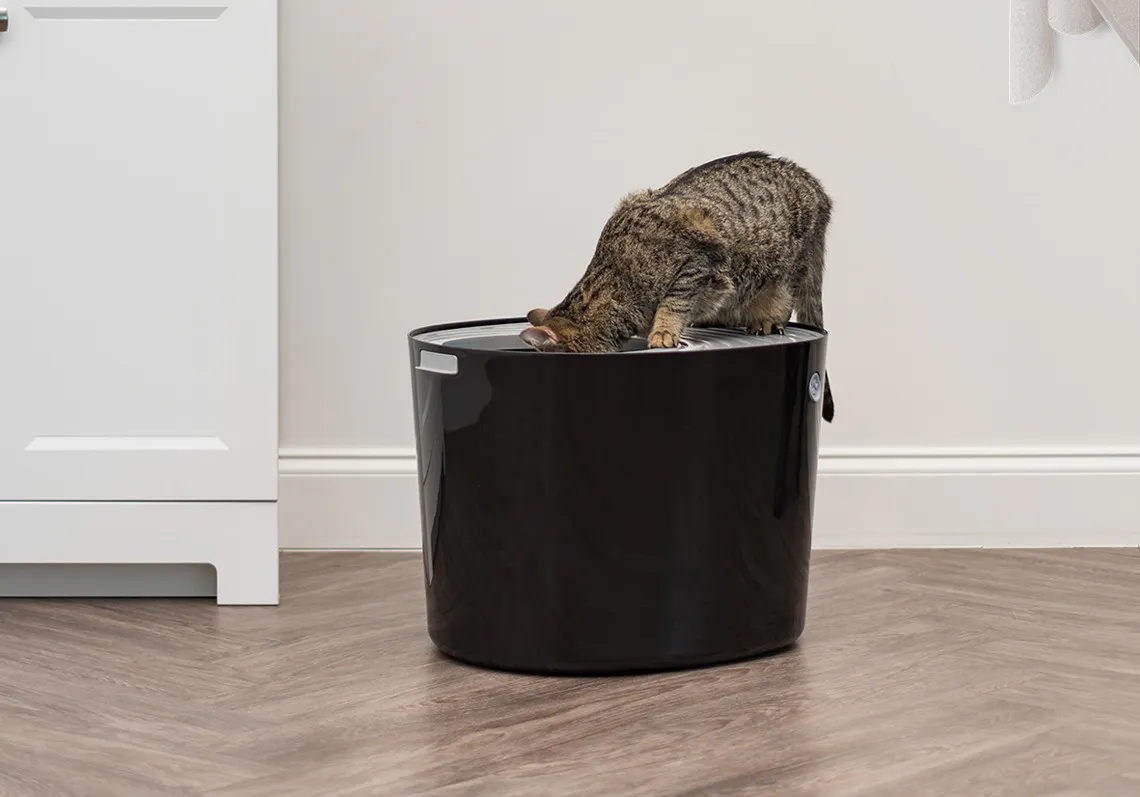 Iris Usa Top Entry Cat Litter Box As Low As 13 At Walmart The Krazy Coupon Lady